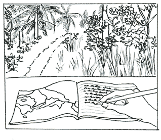 Handgezeichnete Grafik, die einen Field Papers Atlas in der freien Wildbahn repräsentiert.